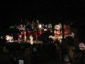 Toledo Zoo Lights 2008 034